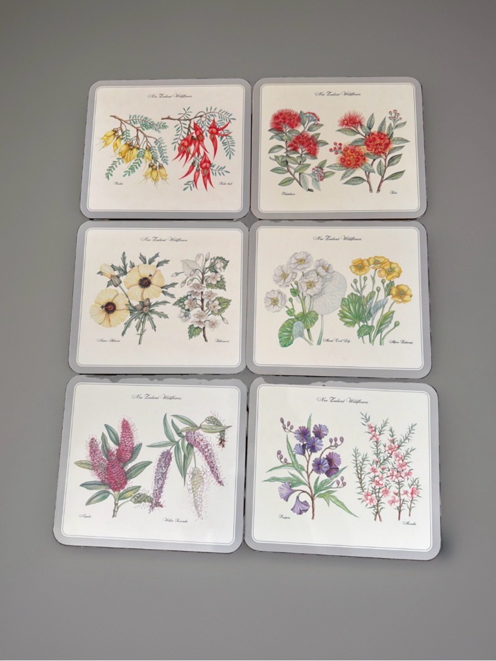 Vintage Jason Products New Zealand Wildflowers Cork-Backed Placemats. Set of 6.